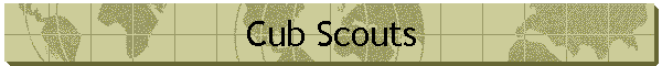 Cub Scouts